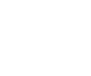 BFT White Logo 1
