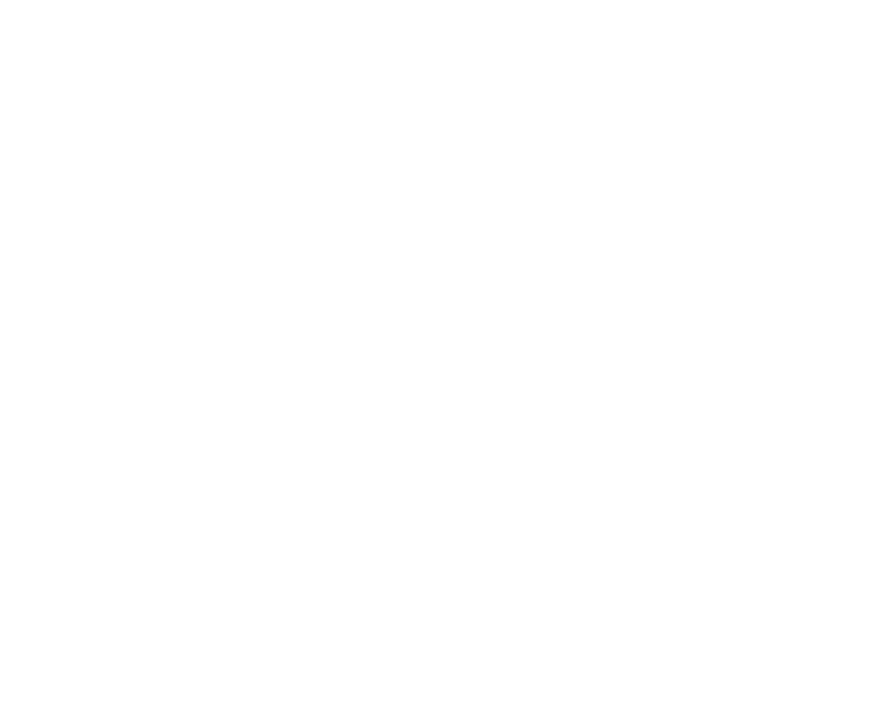 BFT White Logo 1