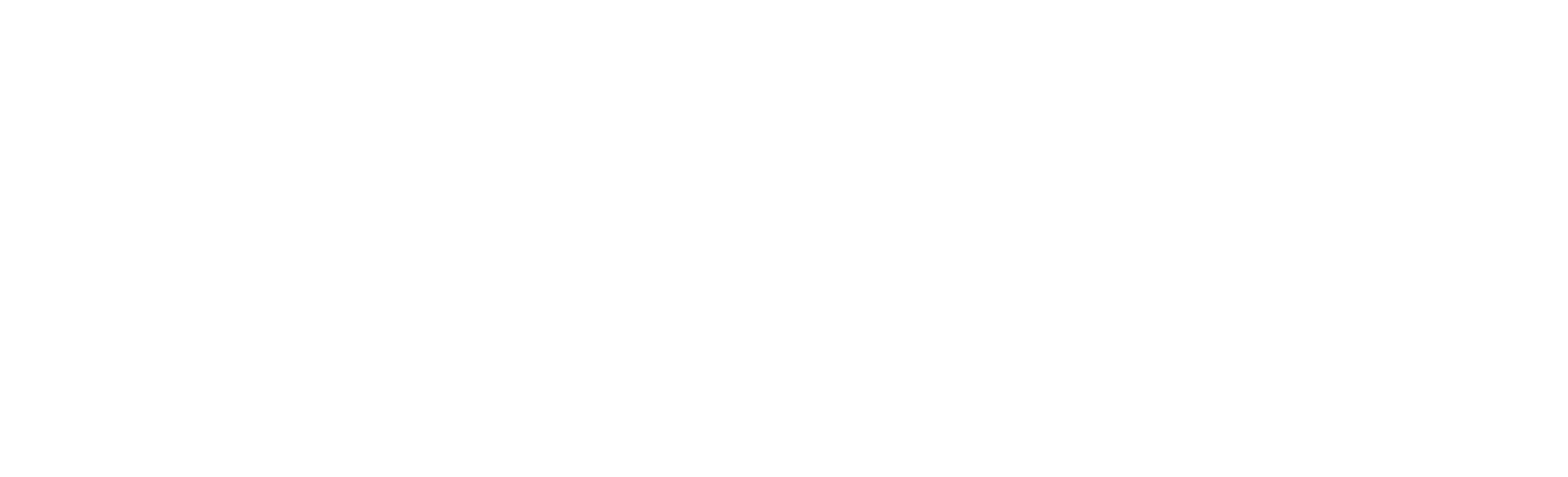 BFT White Logo 2